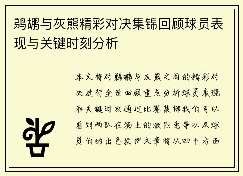 鹈鹕与灰熊精彩对决集锦回顾球员表现与关键时刻分析