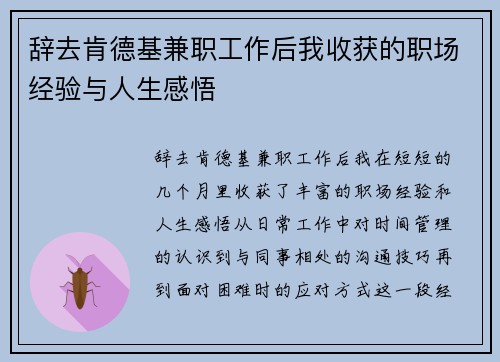 辞去肯德基兼职工作后我收获的职场经验与人生感悟